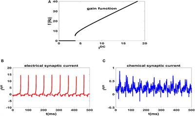 Beta-Rhythm Oscillations and Synchronization Transition in Network Models of Izhikevich Neurons: Effect of Topology and Synaptic Type